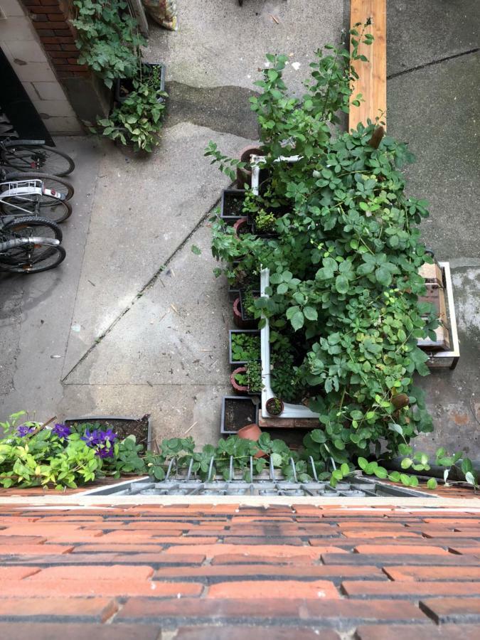 Downtown City - Privaterooms Furth Ruang foto
